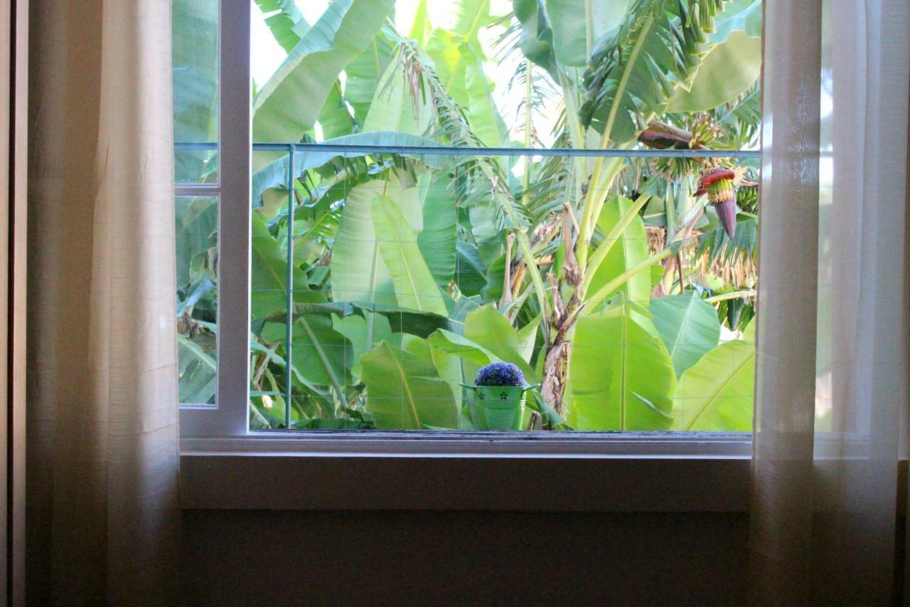Fx Pena Hostel Funchal  Luaran gambar