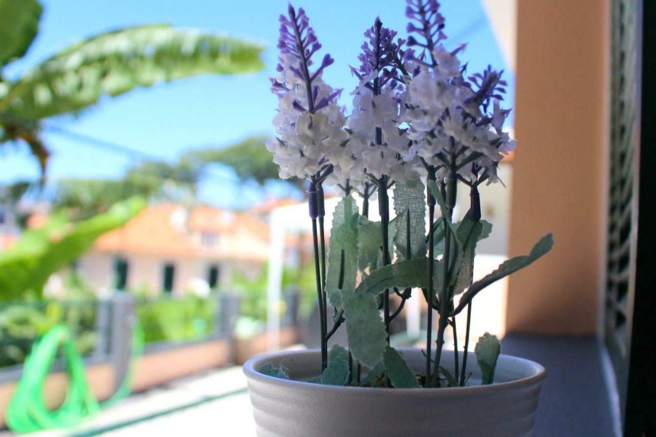 Fx Pena Hostel Funchal  Luaran gambar